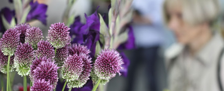 Blumen Wenning