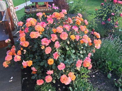Gartenbauer
