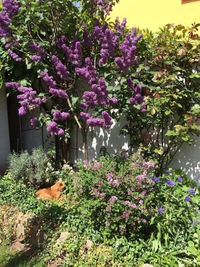 Der GartenPaul