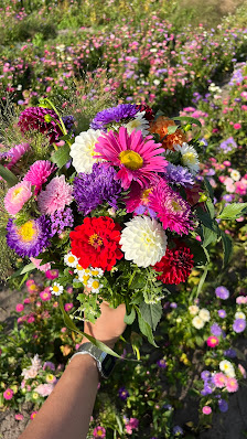 Blumen zum Selberschneiden
