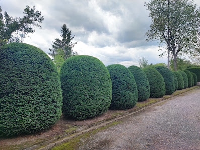 Vuchkovski Garten- und Landschafstsbau