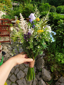 Flüchter Blumen u. Schöne Dinge