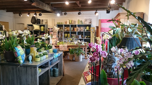 Flüchter Blumen u. Schöne Dinge