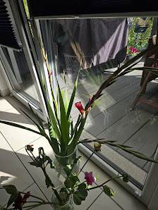 Blumen selber pflücken