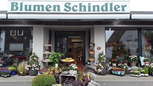 Blumen Schindler