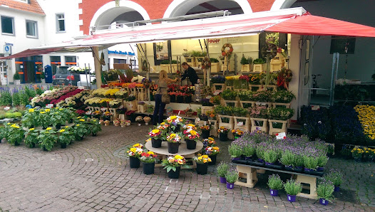 Blumen Bauer Soest