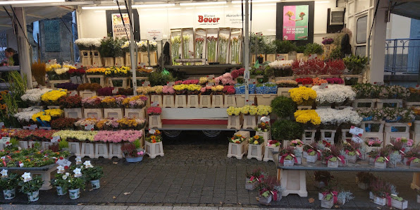 Blumen Bauer Soest