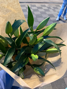 Bahn Blumen GmbH