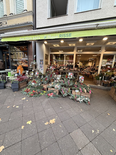Blumen Risse Blumenladen Düsseldorf-Pempelfort