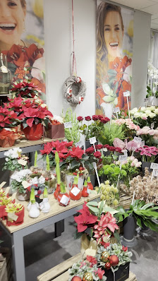 Blumen Risse Blumenladen Düsseldorf-Pempelfort
