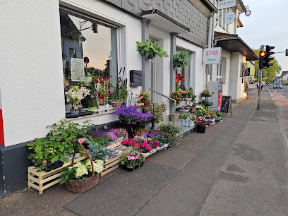 Blumen Melisse