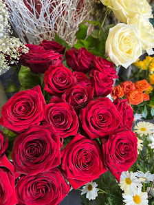 Blumen Melisse