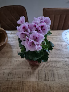 Zimmers Gartenland