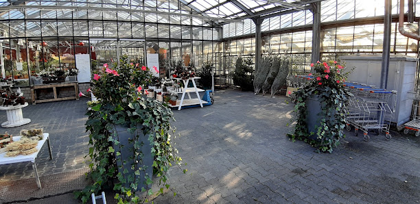 Zimmers Gartenland