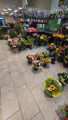 LB Blumen
