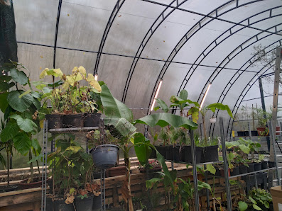 Garten & Landschaftsbau Marius van der Zee