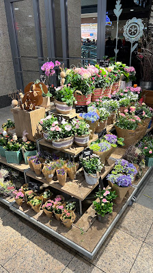 BLUME2000 Siegen City-Galerie