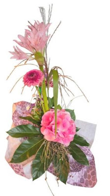 Kaiserslust - Flowers & Fashion