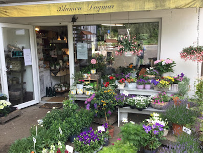 Blumen Dagmar