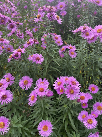 Flori und Fauna Natur und Gartengestaltung