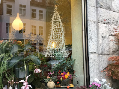 Dornrose Blumen