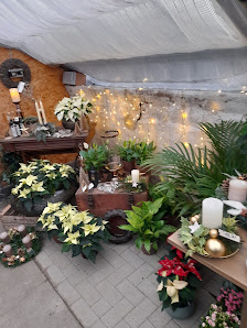 Blumen Leonards