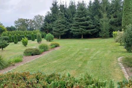 Gartenpflege Siegen Gartenhilfe Gartenservice