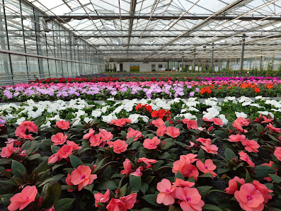 Gartenbau Hilger