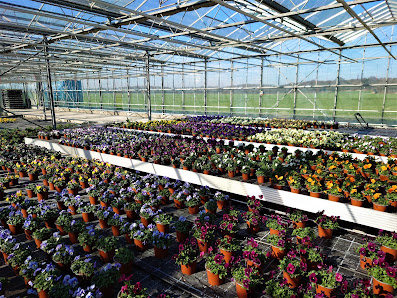 Gartenbau Hilger