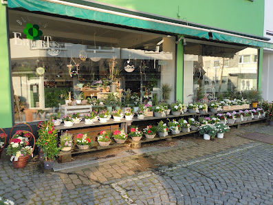 Blumen Ermert