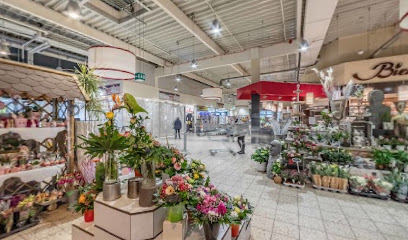 Blumen Spangenberg Voerde