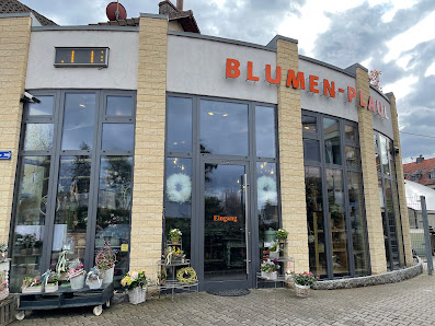 Blumen Plaul