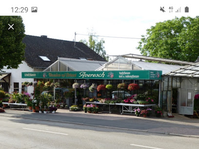 Blumenhaus Averesch