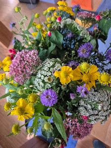 Blumen Reinke-Braun