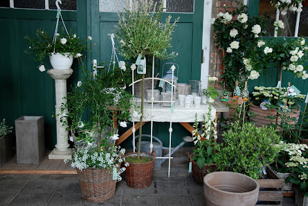 Blumenhaus Liebmann