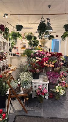 Blumen Miflor