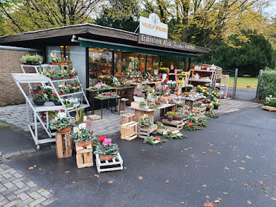Friedhofsgärtnerei Fischer