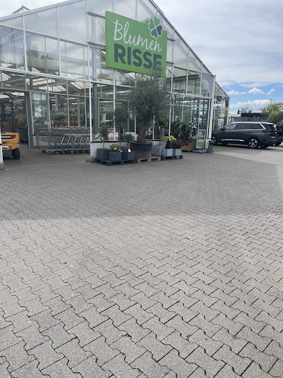 Blumen Risse Blumenmarkt Germersheim