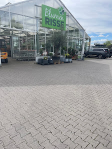 Blumen Risse Blumenmarkt Germersheim