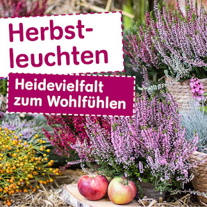 Blumen Risse Blumenmarkt Germersheim