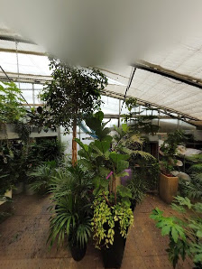 Stoffels - Florale Gestaltungen / Pflanzenhof