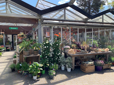 Grützner Blumenkunst