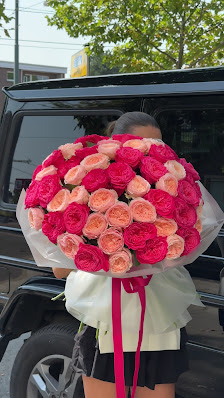 Scarletflowers