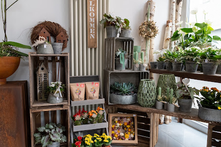 Schwalbenschwänzchen Floristik - dein Blumenladen in Wittlich