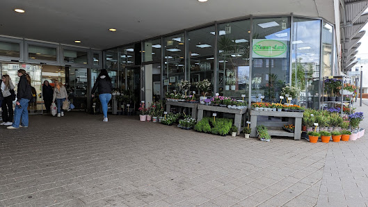 Blumen-Land