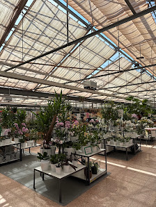 Dehner Garten-Center