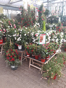 Dehner Garten-Center