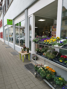 Blumen Konrad