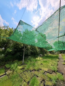 Bioland-Gärtnerei Wildpflanzen Gärtnerei Strickler GbR