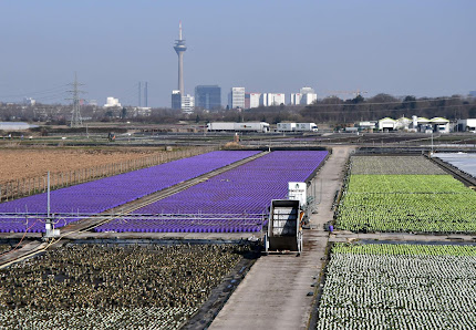 Gartenbau Aloys Gerhards